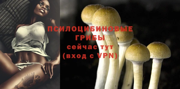 apvp Вяземский