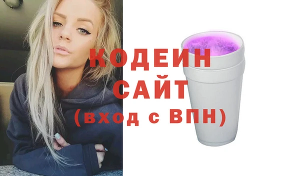 apvp Вяземский