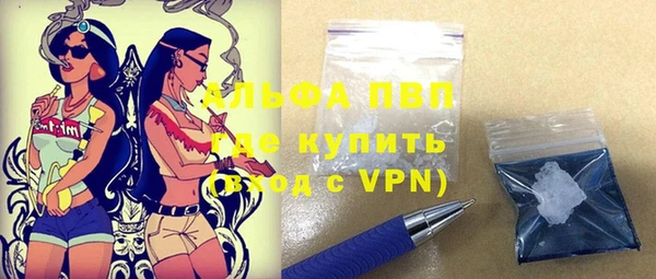 apvp Вяземский
