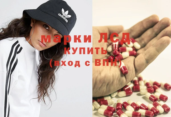 apvp Вяземский