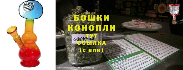 apvp Вяземский