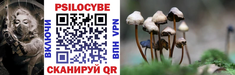 KRAKEN tor Дрезна Галлюциногенные грибы ЛСД